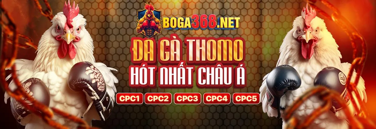 Cá cược thể thao trực tiếp 9988